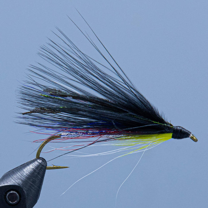 kennebago smelt marabou fishing fly at a maine fly shop