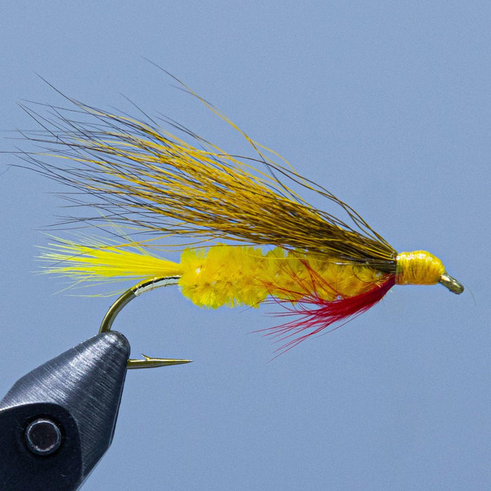 streamer fly with yellow body and tail, red throat, and bucktail wing - edson tiger dark at a maine fly shop