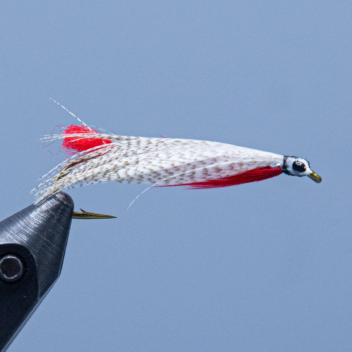 joes smelt, a flat wing streamer fly with read throat and tail at a maine fly shop