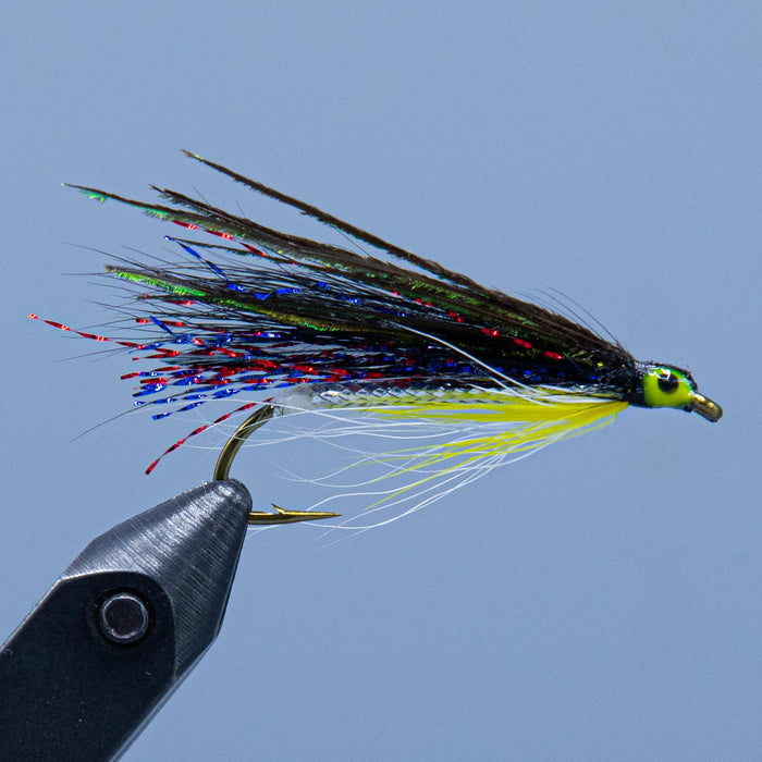 a black smelt pattern with silver body and multiple accent colors called the Kennebago Smelt at a maine fly shop