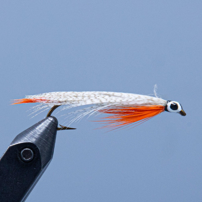 jerrys smelt is a flat wing steamer flywith orange throat and tail