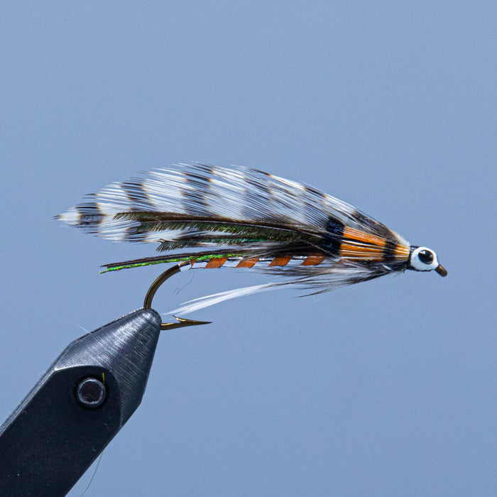 golden witch streamer fly with grizzly hackle and peacock wing and orange accents tied in NH for a Maine fly shop