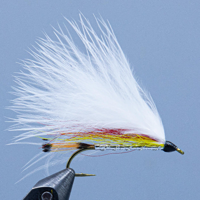 the Shufelt Special is a red yellow and white streamer fly with silver body and golden pheasant tippet tail from a Rangeley Maine Fly Shop