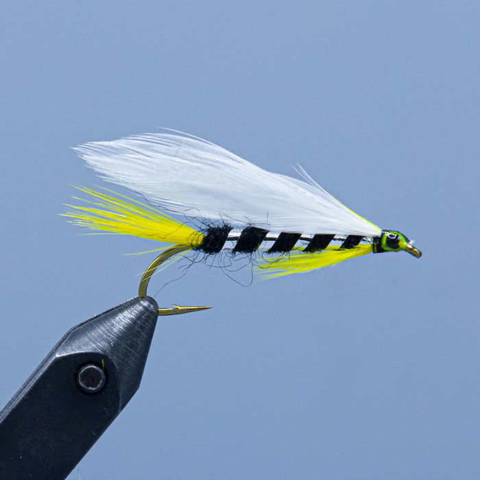 Black Ghost featherwing streamer fly from the Rangeley Region Shop Shop has a black and silver body, yellow tail and throat, and a white feather wing