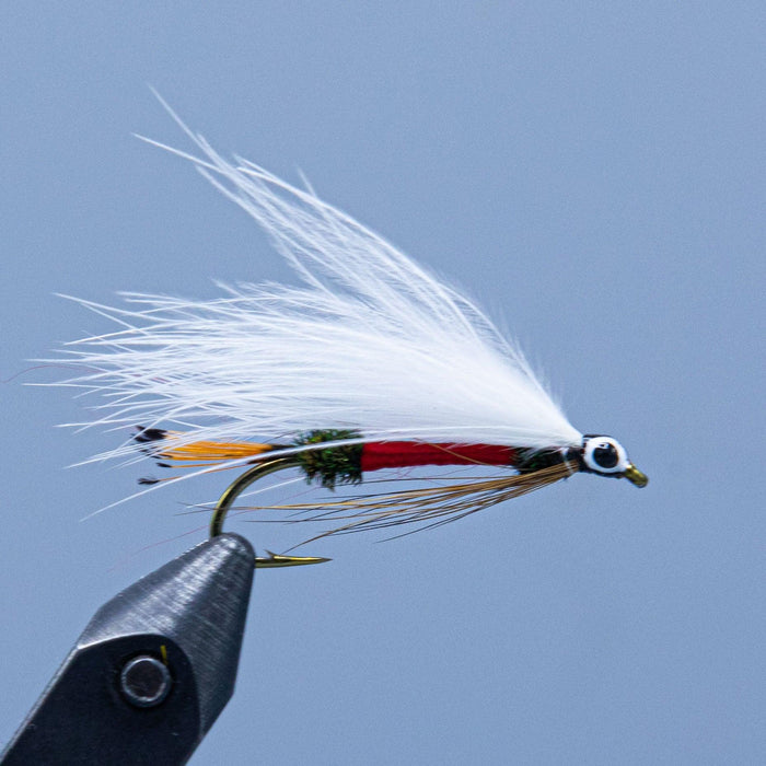 The Royal Coachman streamer fly tied for a Maine Fly Fishing Shop with golden pheasant tippet tail, red and peacock herl body, and white marabou wing