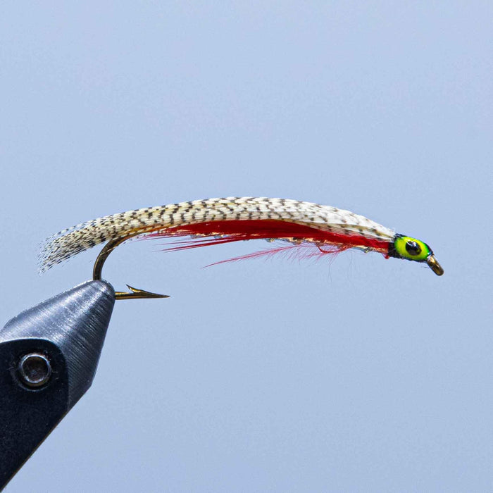 a flat wing streamer fly, dr gratham, at a maine fly shop