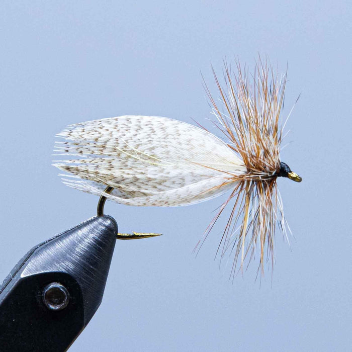 hornberg at a maine fly shop