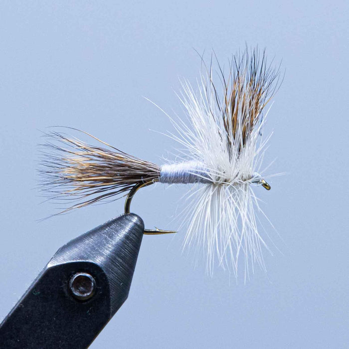 kennebago wulff at rangeley fly shop