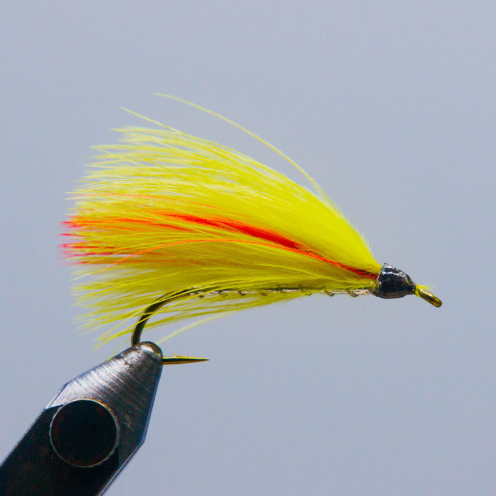 silver body and yellow and red marabou make this streamer fly called a mickey finn marabou