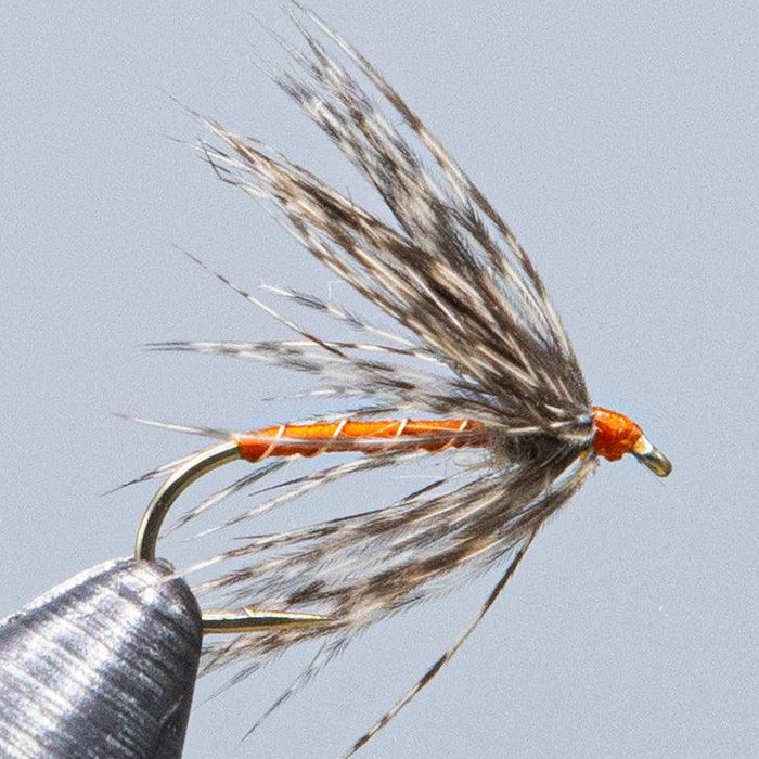 Partridge and Orange - Rangeley Region Sports Shop