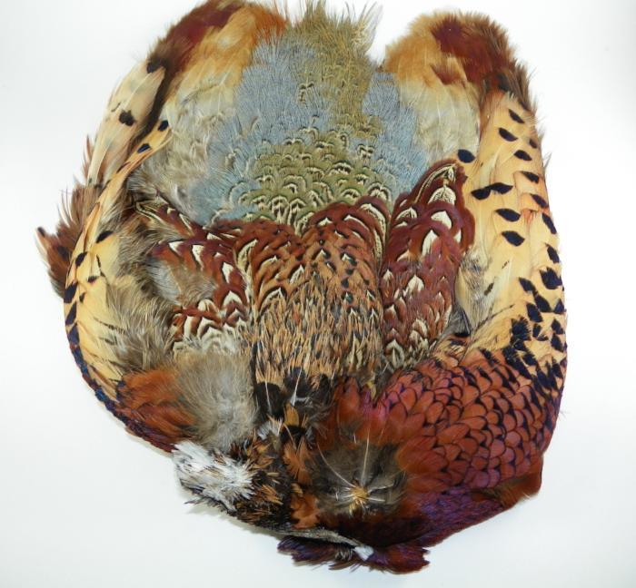 ringneck pheasant whole skin from Rangeley Maine fly fishing shop