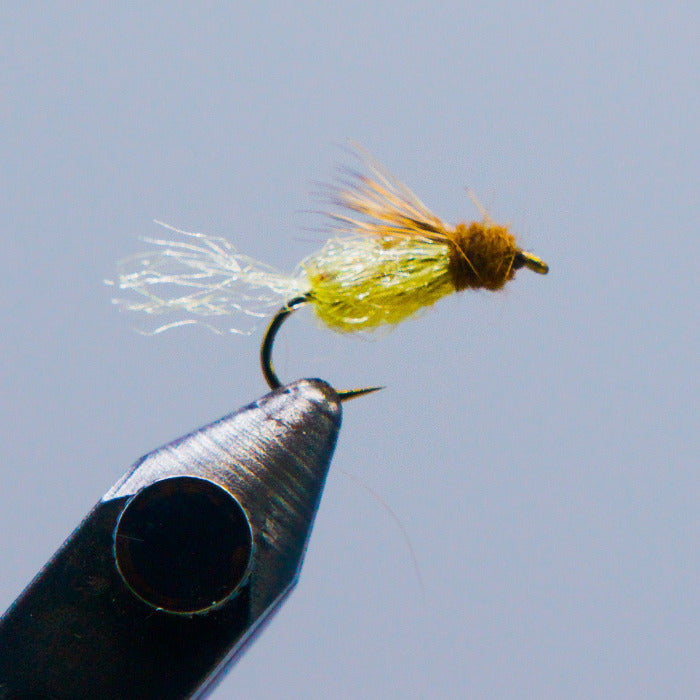 sparkle pupa fly