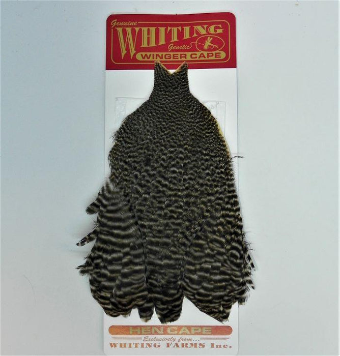 Whiting winger cape at a maine fly shop