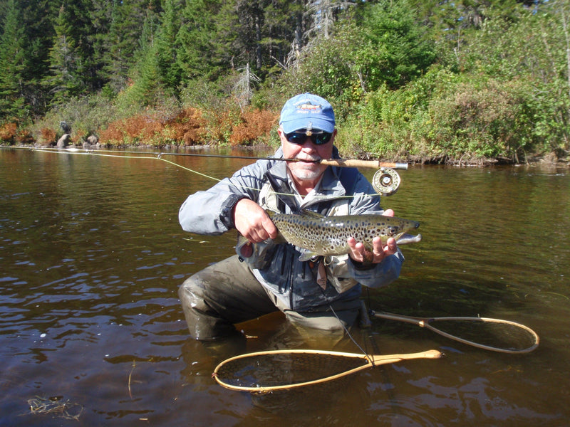 landlocked salmon from the kennebago in september from a maine fly shop