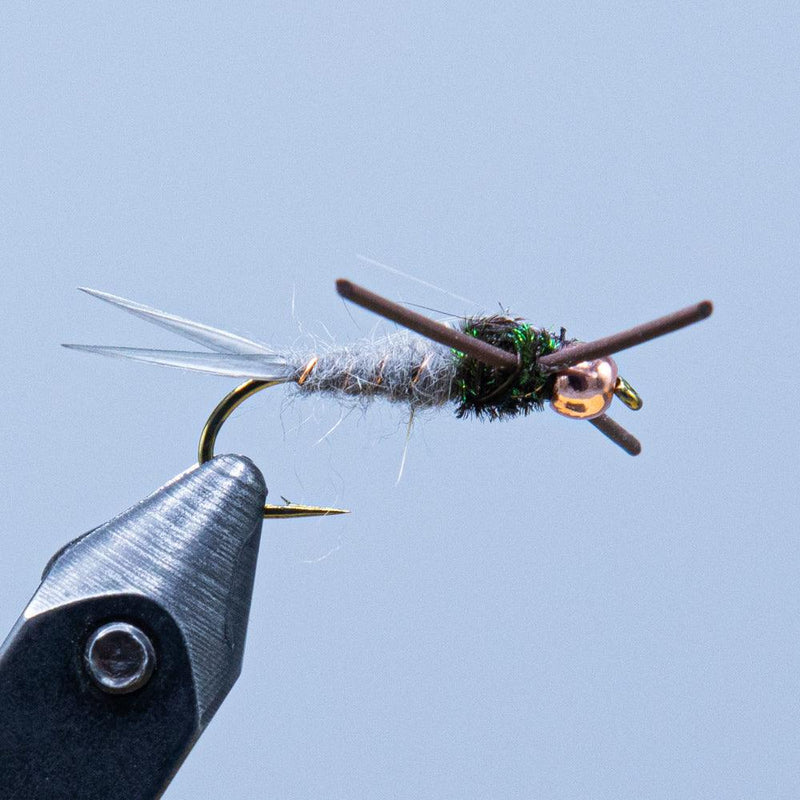 maineflyshop feeding trigger stonefly nymph