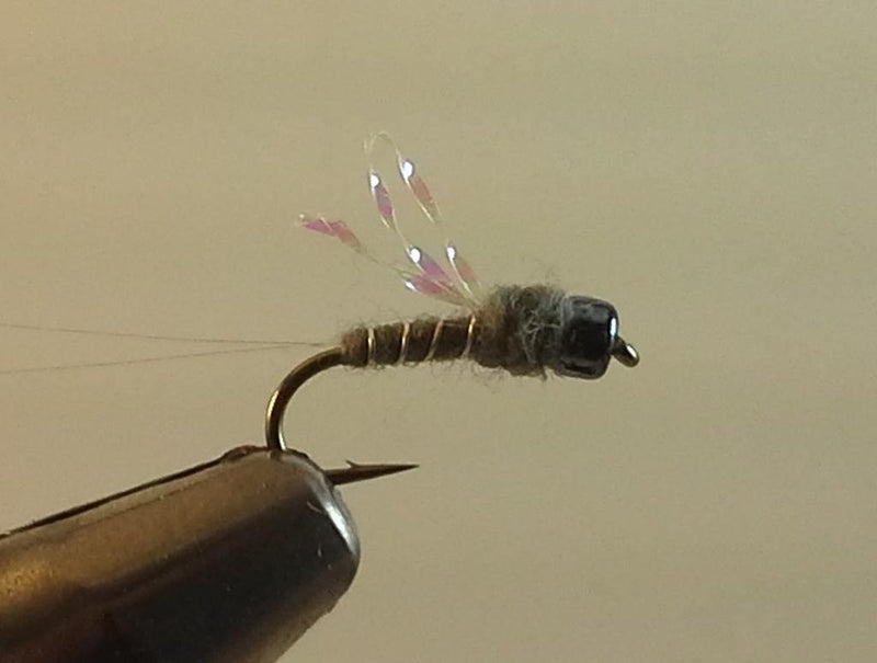 maineflyshop gunmetal sparklewing RS2 nymph fly