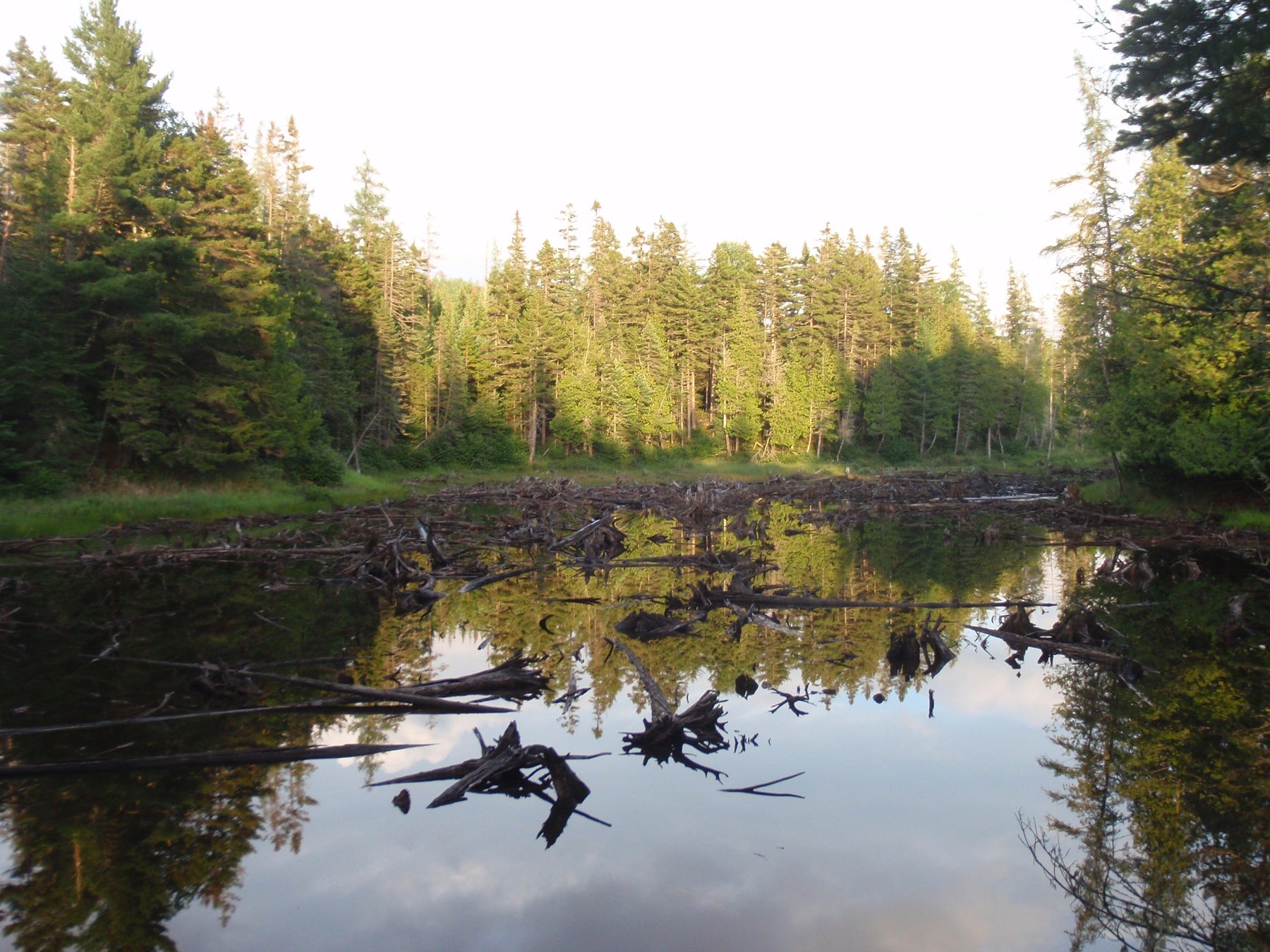 remote pond in the maine woods for maine fly fishing