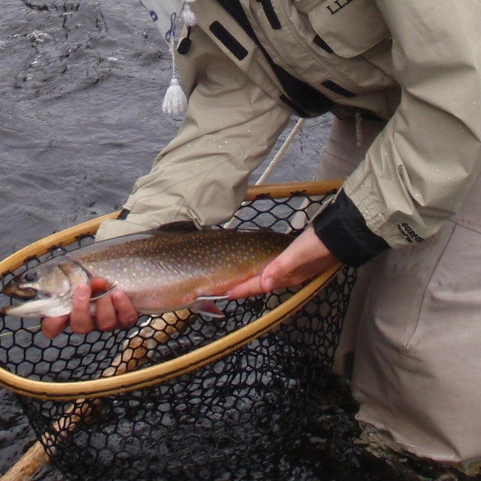 early season brook trout caught while fly fishing in the rangeley maine area