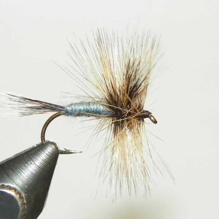kennebago wolf at maine fly shop