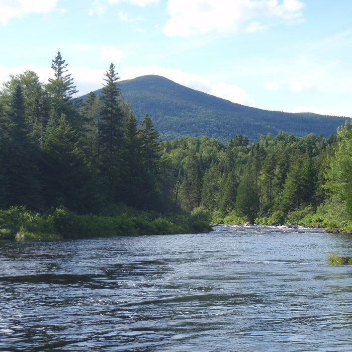 pool on the kennebago river 