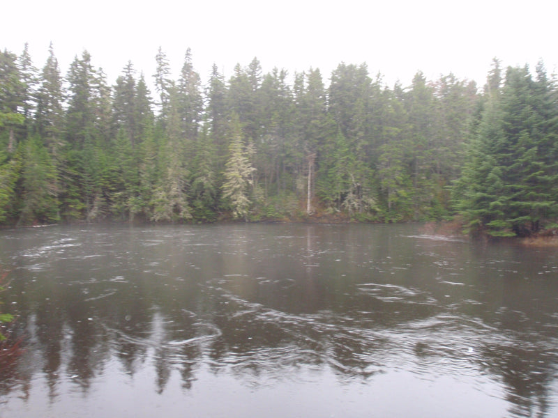 high water on the kennebago river