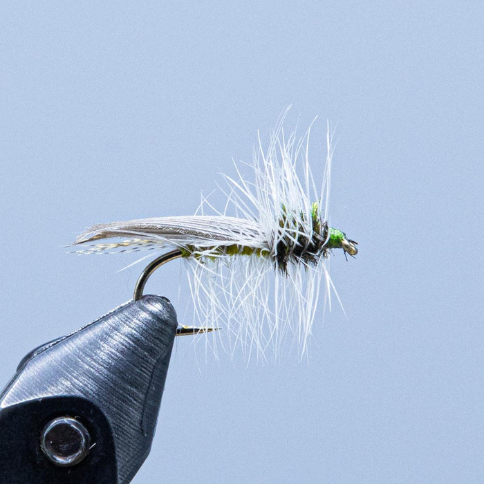 Hemingway caddis at a Maine fly shop