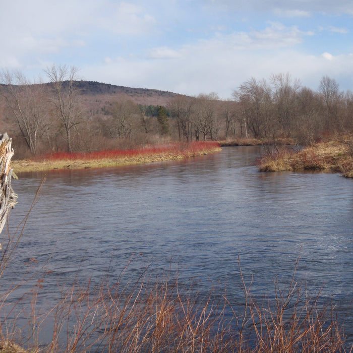 magalloway river in rangeley maine