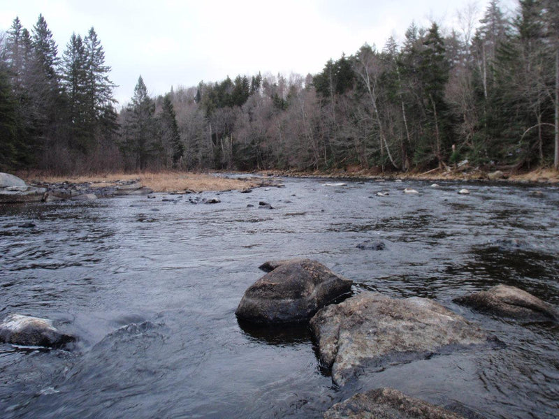 Fishing Report - May 2 2019 - Rangeley Region Sports Shop