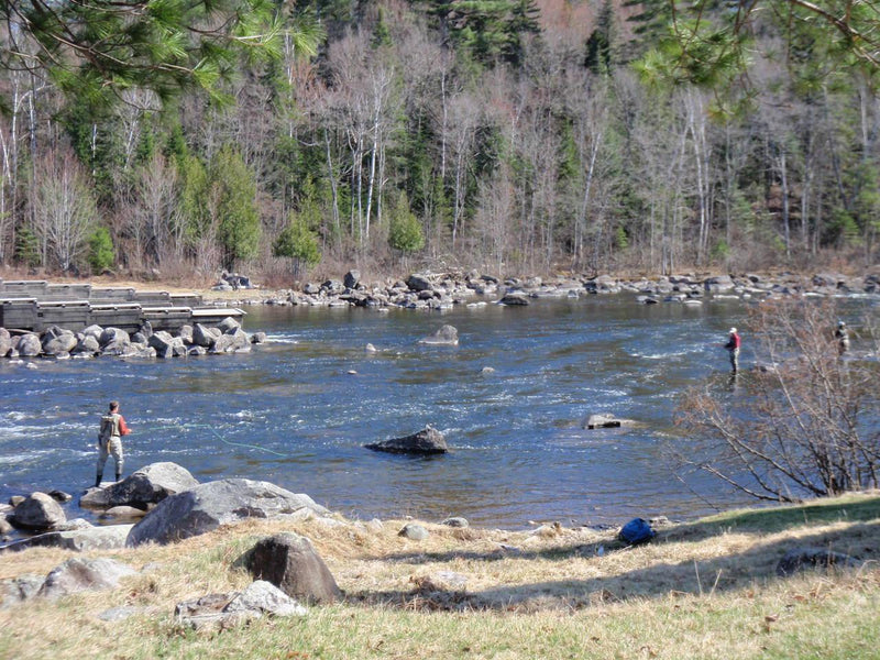 Fishing Report - May 9 2019 - Rangeley Region Sports Shop