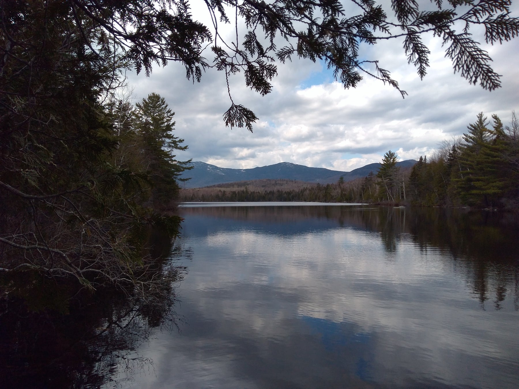 Rangeley Region Fishing Report - May 9 2024