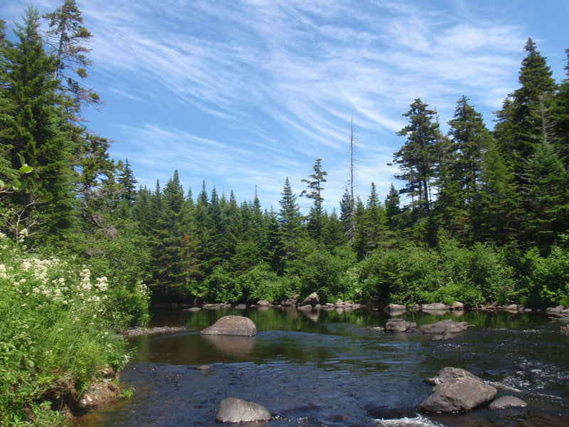 a river in rangeley region