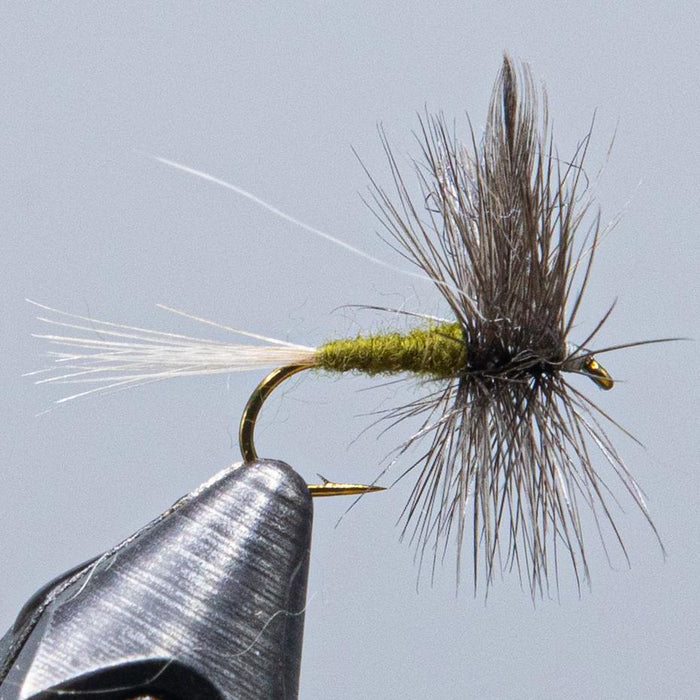 Blue Winged Olive (or B.W.O.) - Rangeley Region Sports Shop