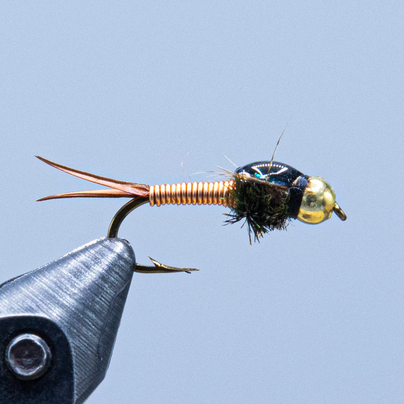 copper john at a Maine fly shop