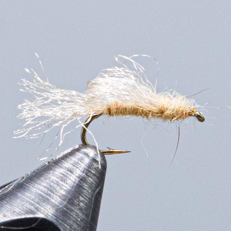 maineflyshop loopwing caddis emerger which can resemble a dun, cripple or emerger