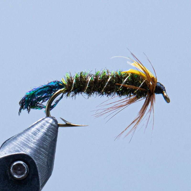 zug bug fishing fly made with peacock herl
