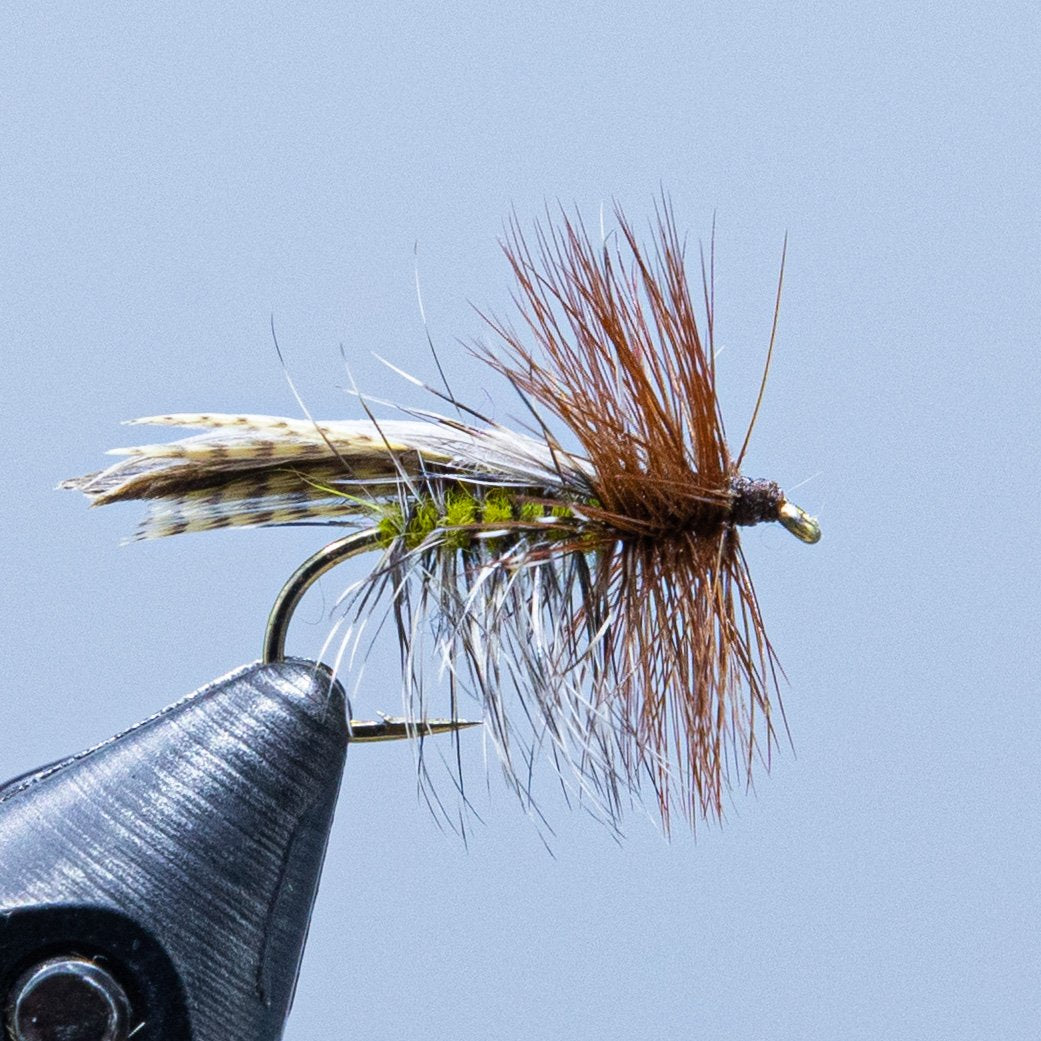 Henryville special dry fly for spring caddis hatch