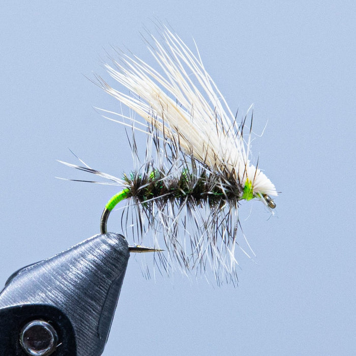 Peacock caddis dry fishing fly with peacock herl body and white wing