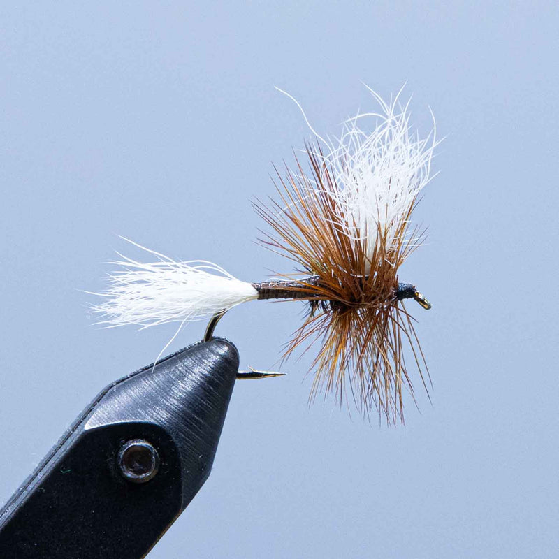 h&l varient at a maine fly shop