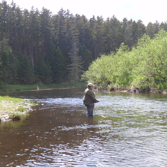 rangeley fly fishing