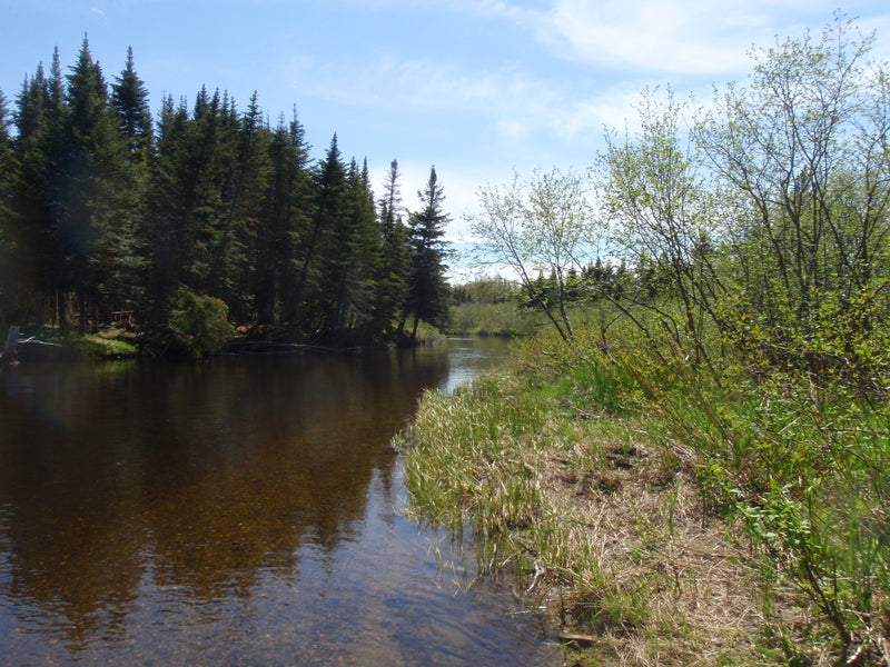 fishing Report - July 4 2019 - Rangeley Region Sports Shop