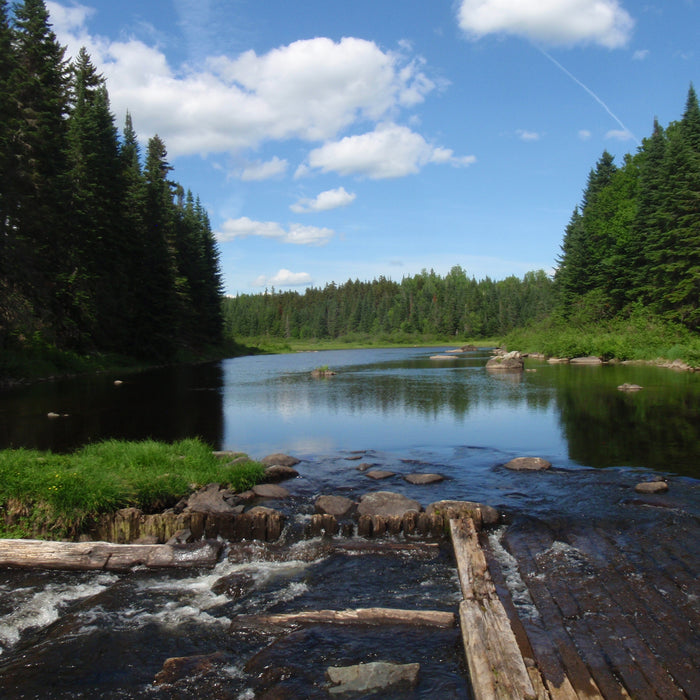 Rangeley Region Fishing Report - July 7 2022