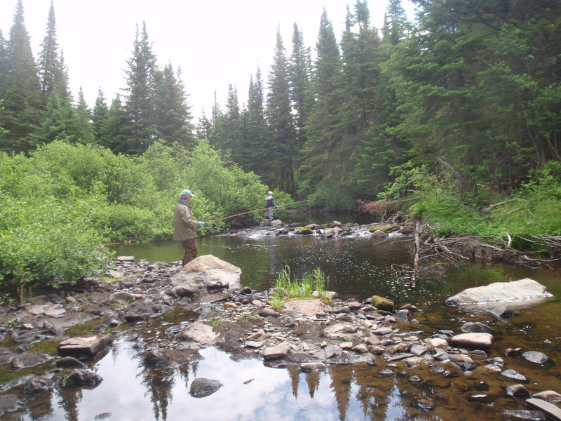 river in the rangeley region