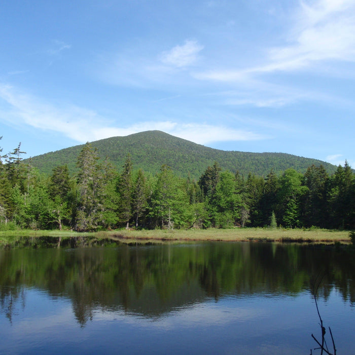 small pond in the woods near kennebago mountain