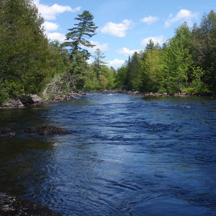 salmon pool on the kennebago river from the maine fly shop