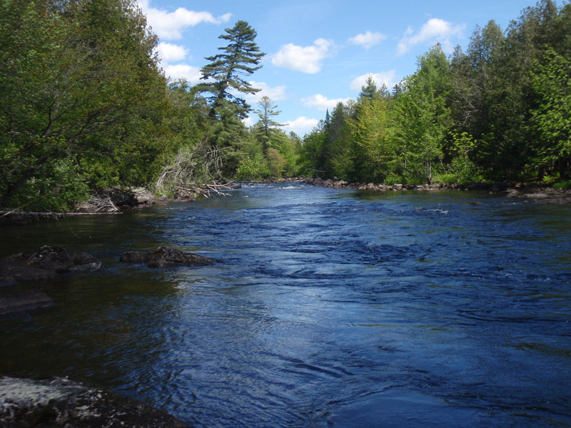 salmon pool on the kennebago river from the maine fly shop