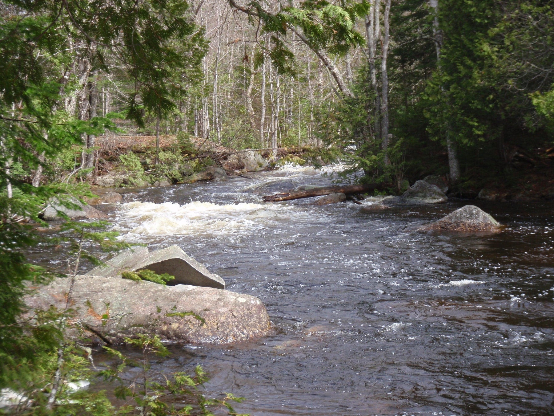 spring flowing river at a maine fly shop