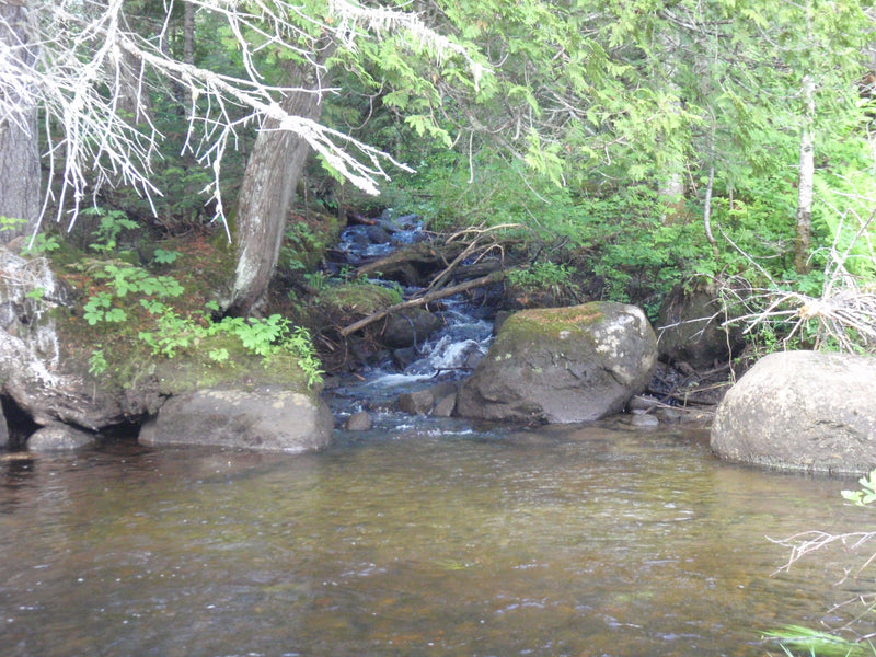 stream in the rangeley area