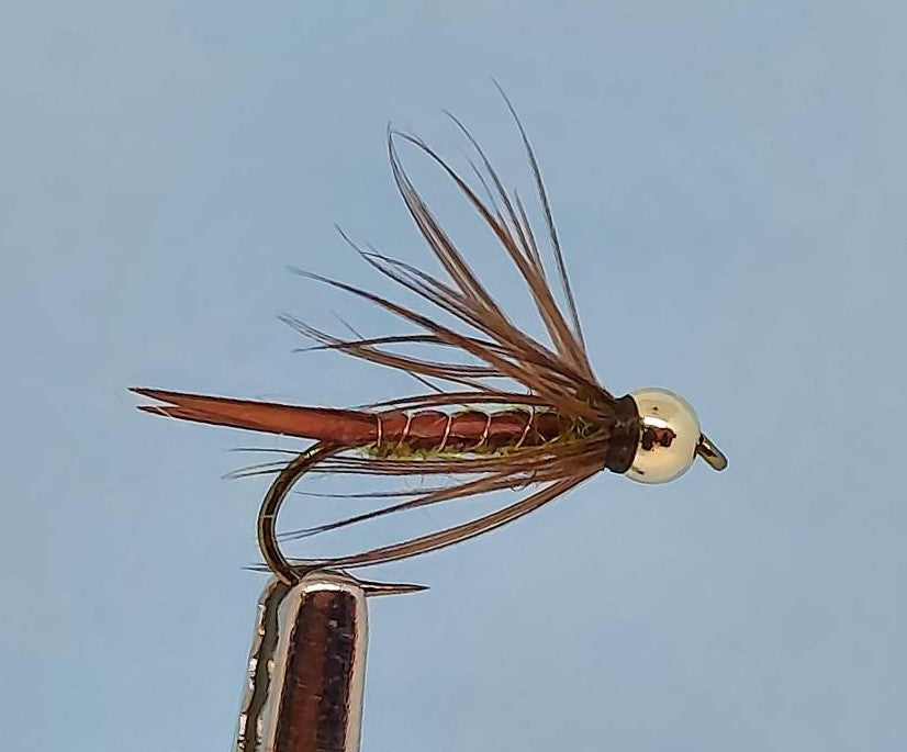 biot bug fly from rangeley fly shop