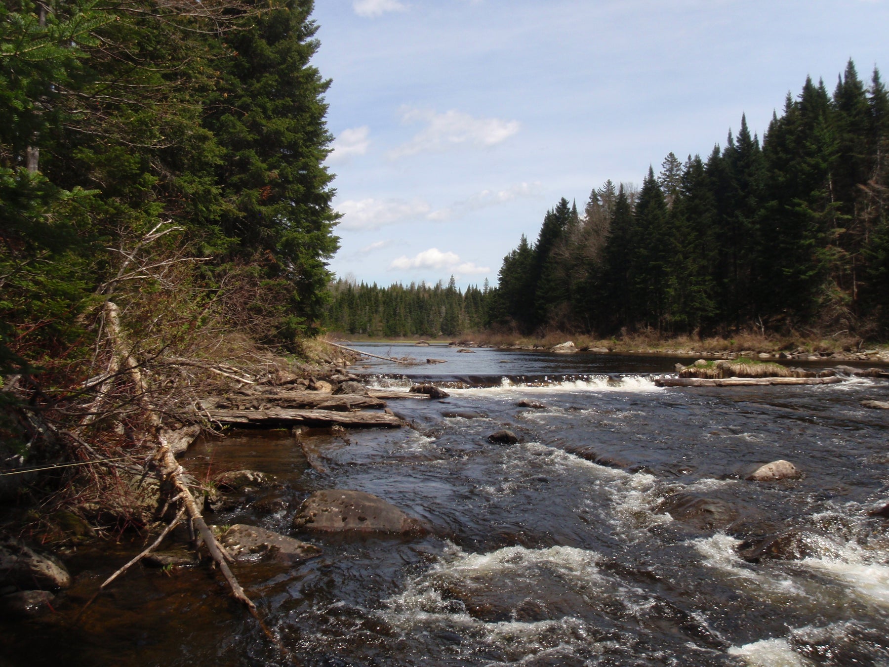 a river in rangeley region