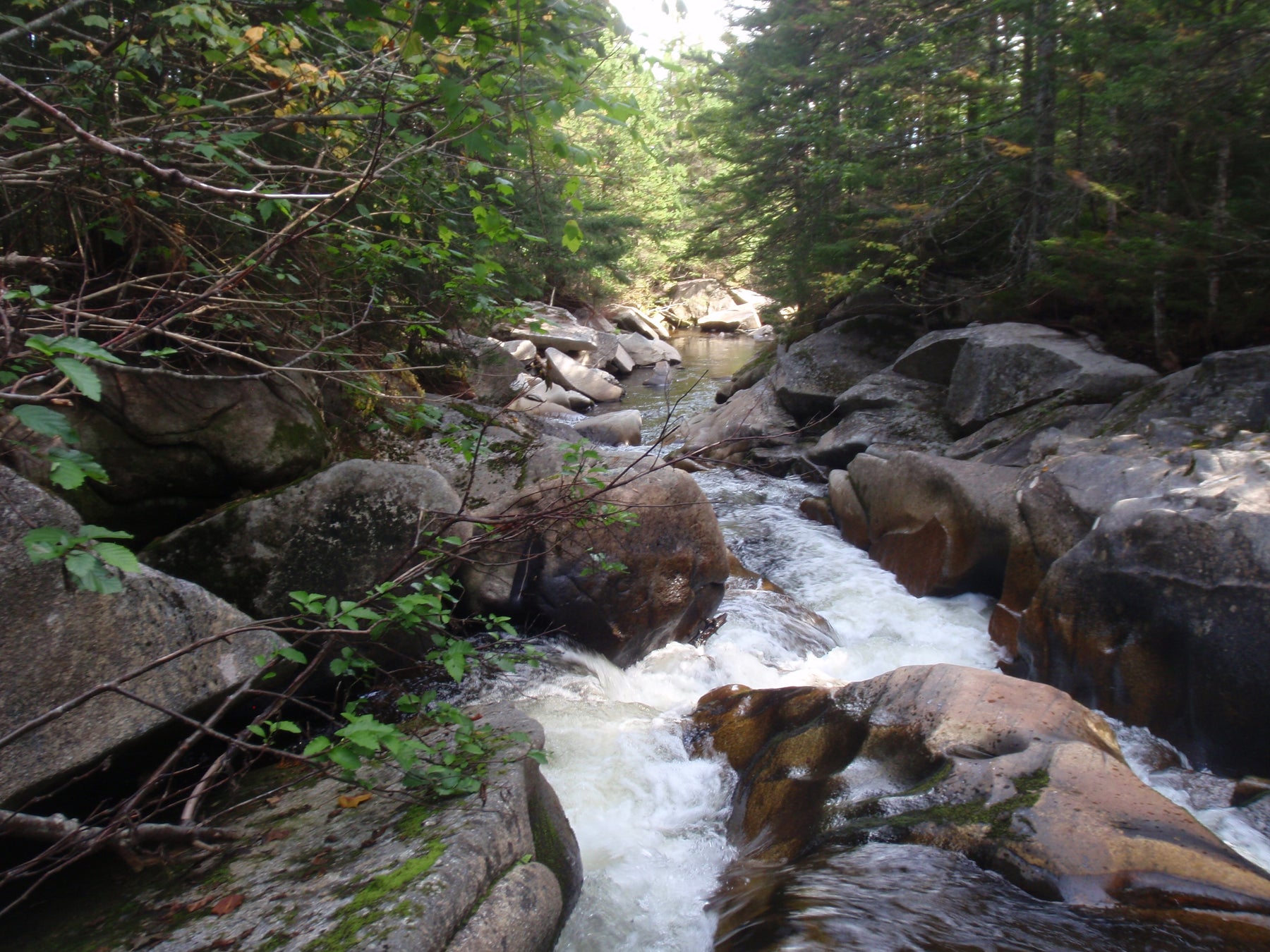 orbeton stream in the rangeley area